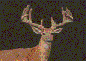 17ptbuck.gif (2602 bytes)