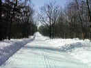 inroad.jpg (37443 bytes)